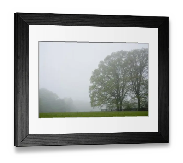 Framed Print : Virginia, United States