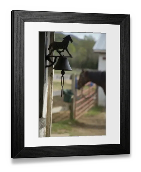 Framed Print : Wrought-iron horse and horse tied to fence near barn, Virginia, United States PR
