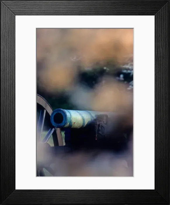 Framed Print : Virginia; Hallowed Ground; Cannon; Manassas National Battlefield Park Framed Print : Virginia; Hallowed Ground; Cannon; Manassas National Battlefield Park