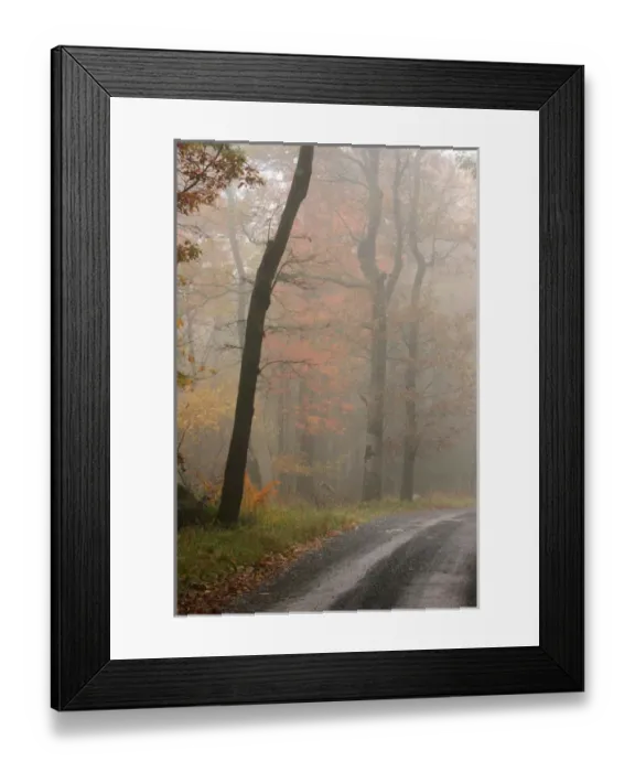 Framed Print : Fall leaves on road at Mountain Lake, Wilderness Conservancy, Piedmont, Virginia