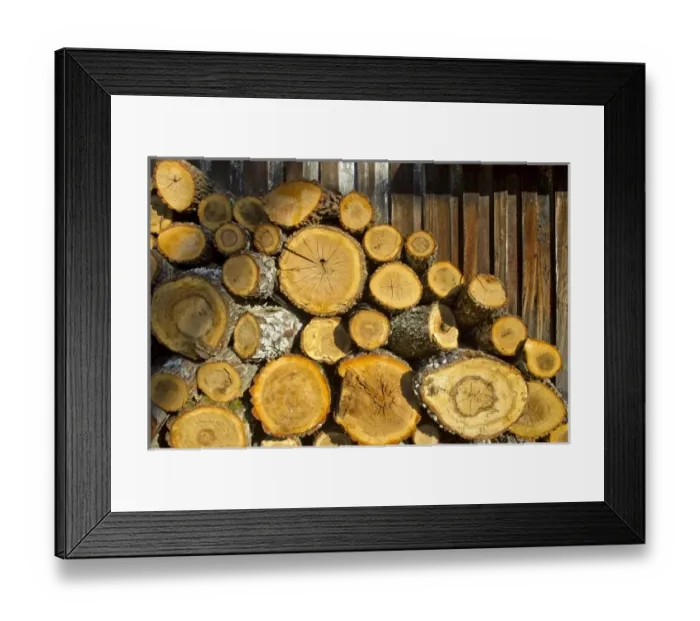 Framed Print : Large fire logs, Craigs Creek, Virginia Framed Print : Large fire logs, Craigs Creek, Virginia