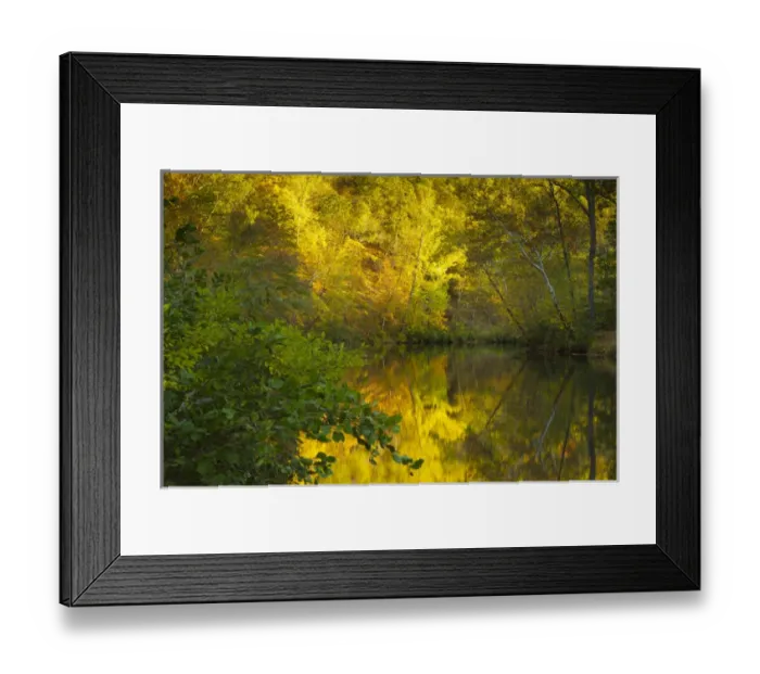 Framed Print : Fall scene on Craigs creek. Virginia