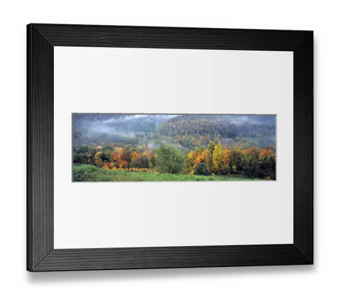Framed Print : USA, Virginia, Shenandoah NP. Skyline Drive looks over the vast, autumn-speckled Framed Print : USA, Virginia, Shenandoah NP. Skyline Drive looks over the vast, autumn-speckled