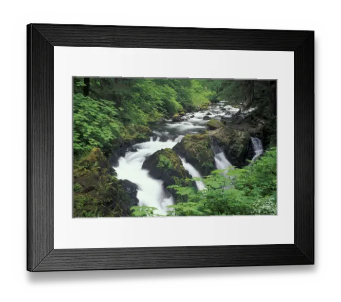 Framed Print : N. A, USA, Washington, Olympic Nat l Park Sol Duc Falls, Olympic Rainforest Framed Print : N. A, USA, Washington, Olympic Nat l Park Sol Duc Falls, Olympic Rainforest