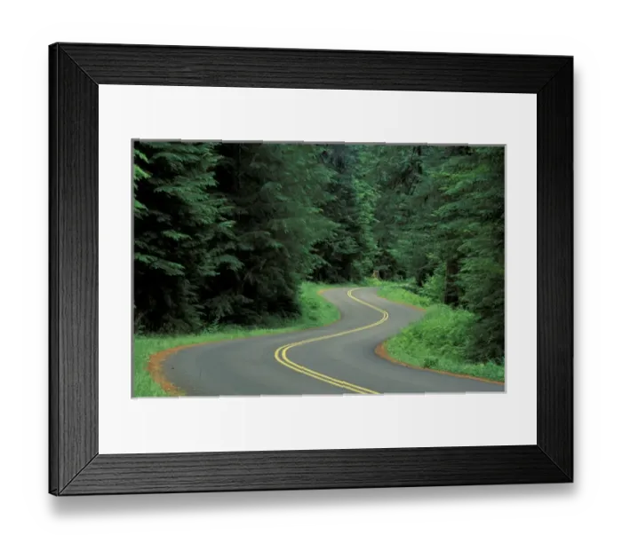 Framed Print : N. A, USA, Washington, Olympic Nat l Park Road winding through forest