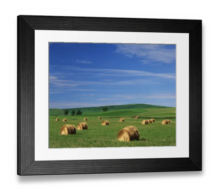 Framed Print : USA, Washington State, Eastern Washington, Palouse, Hay bales in Palouse farm country Framed Print : USA, Washington State, Eastern Washington, Palouse, Hay bales in Palouse farm country
