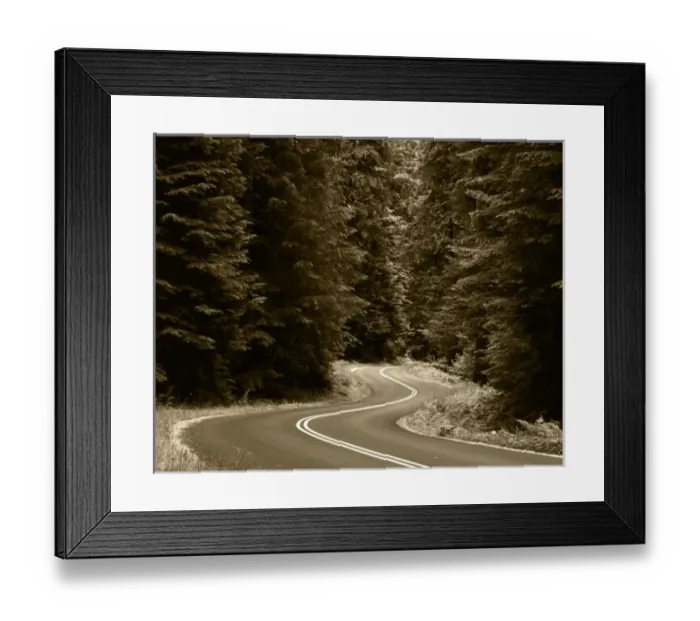 Framed Print : USA, Washington State, Olympic Peninsula, Olympic National Park, View of winding Framed Print : USA, Washington State, Olympic Peninsula, Olympic National Park, View of winding
