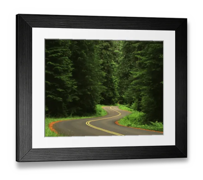 Framed Print : USA, Washington State, Olympic Peninsula, Olympic National Park, View of winding Framed Print : USA, Washington State, Olympic Peninsula, Olympic National Park, View of winding