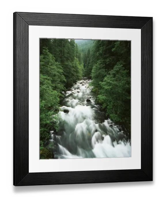 Framed Print : USA, Washington State, Mount Rainier National Park, View of ohanapecosh river through
