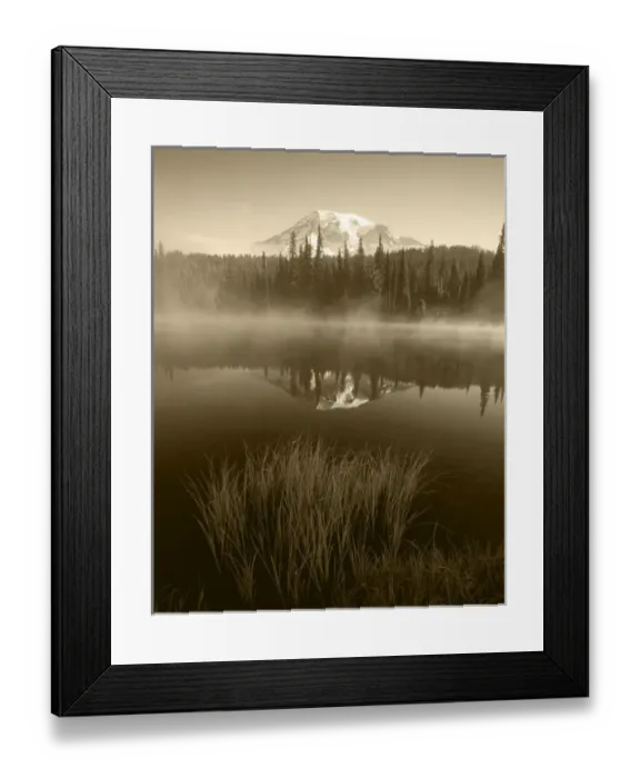 Framed Print : USA, Washington State, Mount Rainier National Park, Mt. Rainier and grass along shore Framed Print : USA, Washington State, Mount Rainier National Park, Mt. Rainier and grass along shore