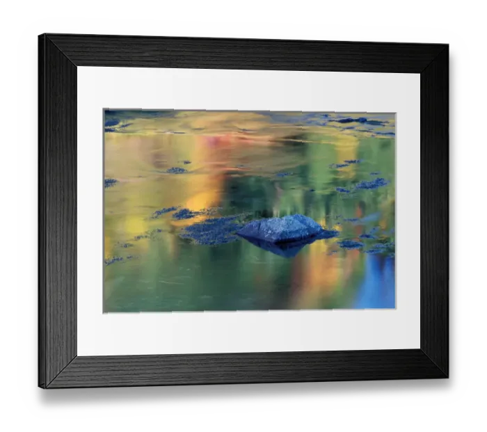 Framed Print : North America; USA; Washington Fall Color Reflection Framed Print : North America; USA; Washington Fall Color Reflection