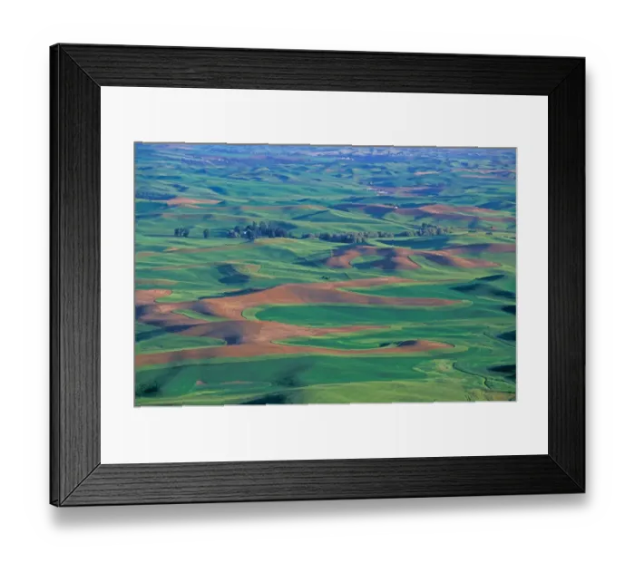 Framed Print : NA, USA, Eastern Washington, Whitman County, Palouse region, springtime hills seen