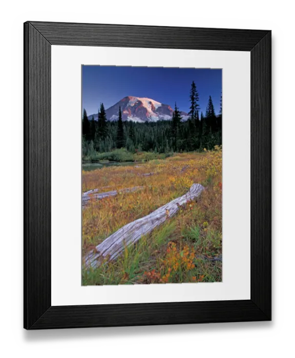 Framed Print : NA, USA, Washington, Mount Rainier NP, Refleced Lakes Area, meadow with logs Framed Print : NA, USA, Washington, Mount Rainier NP, Refleced Lakes Area, meadow with logs