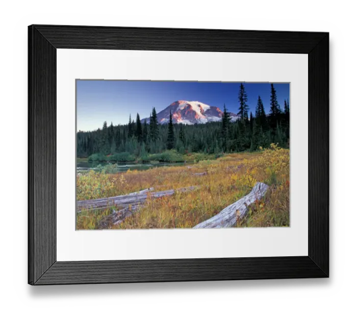 Framed Print : NA, USA, Washington, Reflection lakes area, Mount Rainier, meadow with logs Framed Print : NA, USA, Washington, Reflection lakes area, Mount Rainier, meadow with logs