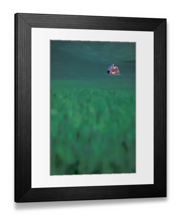 Framed Print : NA, USA, Washington, Whitman County, Palouse region, red barn in wheatfield