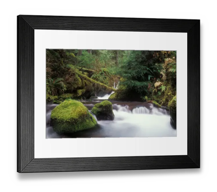 Framed Print : Glacier Creek, Gifford Pinchot National Forest Framed Print : Glacier Creek, Gifford Pinchot National Forest