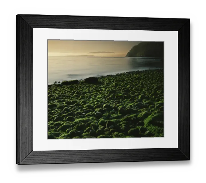 Framed Print : USA, Washington, Orcas Island, Stone beach at low tide Framed Print : USA, Washington, Orcas Island, Stone beach at low tide