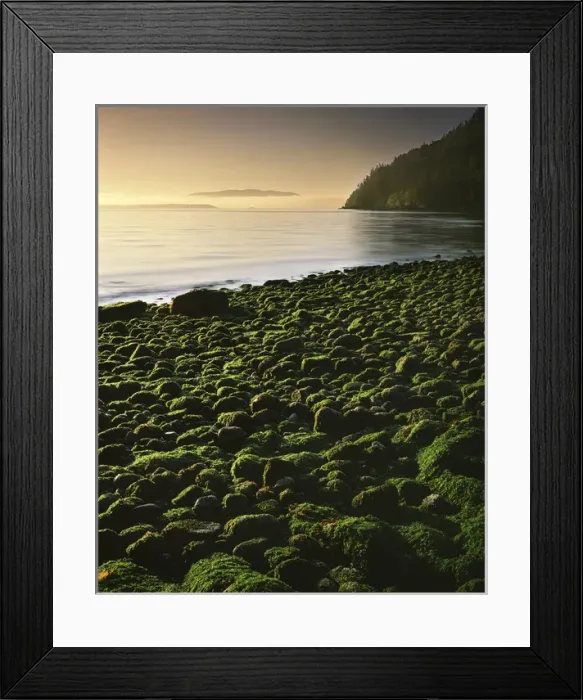 Framed Print : USA, Washington, Orcas Island, Stone beach at low tide Framed Print : USA, Washington, Orcas Island, Stone beach at low tide