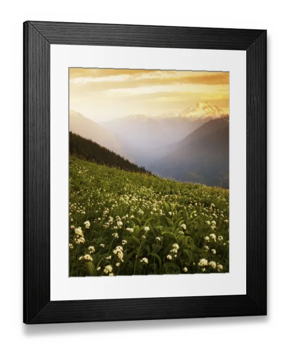 Framed Print : USA, Washington, Glacier Peak Wilderness, Meadow with helebore and sitka valerian Framed Print : USA, Washington, Glacier Peak Wilderness, Meadow with helebore and sitka valerian
