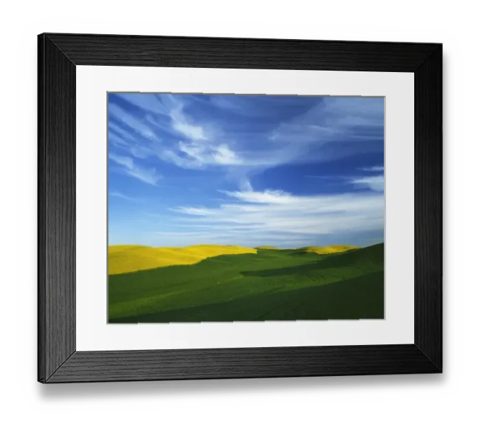Framed Print : USA, Washington, Whitman County, Palouse, Fields of Wheat and Canola Framed Print : USA, Washington, Whitman County, Palouse, Fields of Wheat and Canola