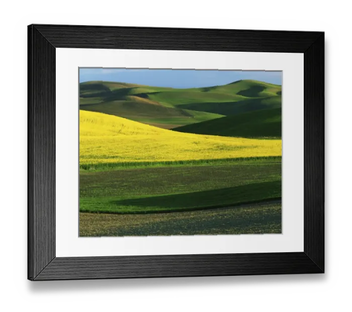 Framed Print : USA, Eastern Washington, Whitman County, Palouse, Canola and Fields Framed Print : USA, Eastern Washington, Whitman County, Palouse, Canola and Fields