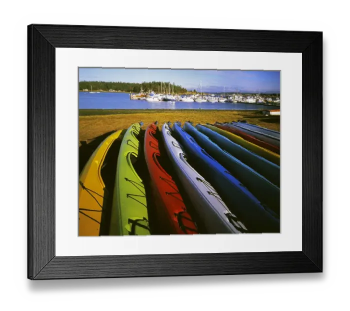 Framed Print : USA, Washington, Lopez Island, Fisherman Bay, Sea Kayaks Framed Print : USA, Washington, Lopez Island, Fisherman Bay, Sea Kayaks