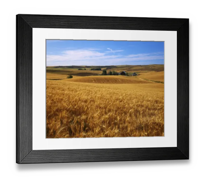 Framed Print : USA, Washington, Whitman County, Wheat fields