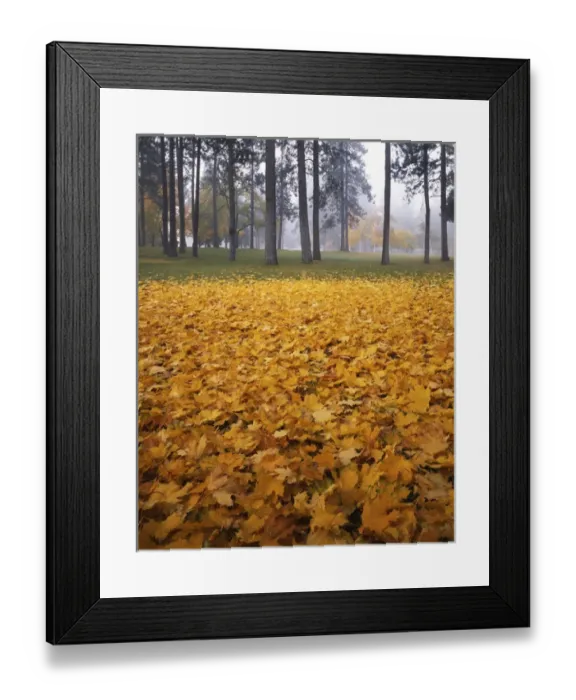 Framed Print : USA, Washington, Spokane, Manito Park, Autumn Framed Print : USA, Washington, Spokane, Manito Park, Autumn
