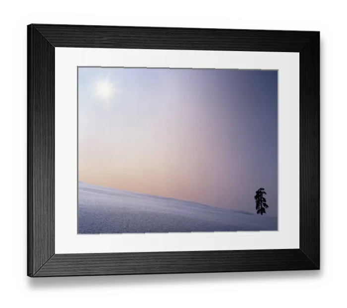 Framed Print : USA, Washington, Spokane County, Ponderosa Pine