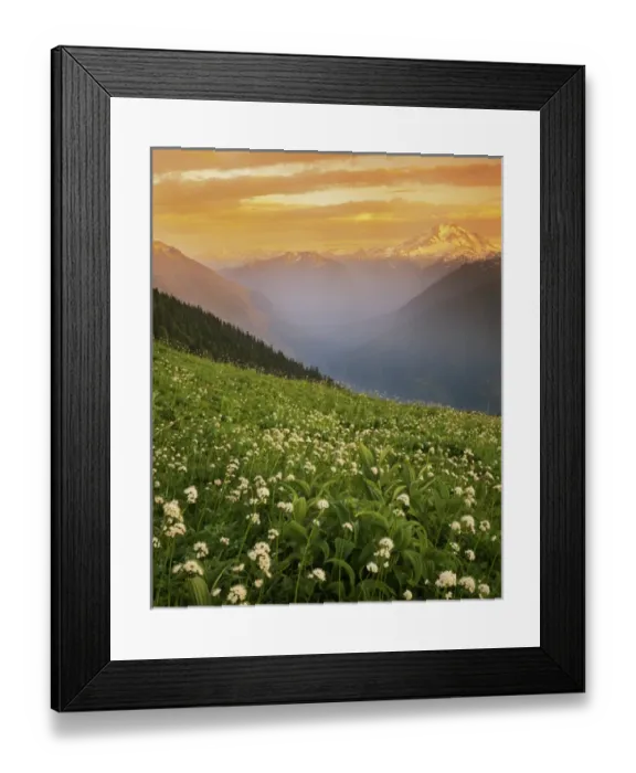 Framed Print : USA, Washington, Mt. Baker-Snoqualmie National Forest, Glacier Peak Wilderness, Meadow Framed Print : USA, Washington, Mt. Baker-Snoqualmie National Forest, Glacier Peak Wilderness, Meadow