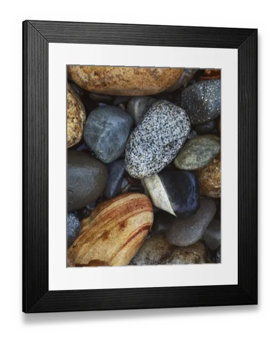 Framed Print : USA, Washington, Okanogan-Wenatchee National Forest, methow River, stones Framed Print : USA, Washington, Okanogan-Wenatchee National Forest, methow River, stones