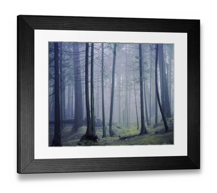 Framed Print : USA, Washington, Orcas Island, Moran State Park Framed Print : USA, Washington, Orcas Island, Moran State Park