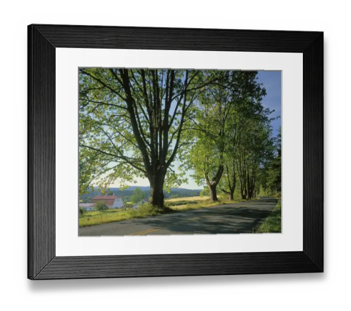 Framed Print : USA, Washington, Orcas Island, Crow Valley Framed Print : USA, Washington, Orcas Island, Crow Valley