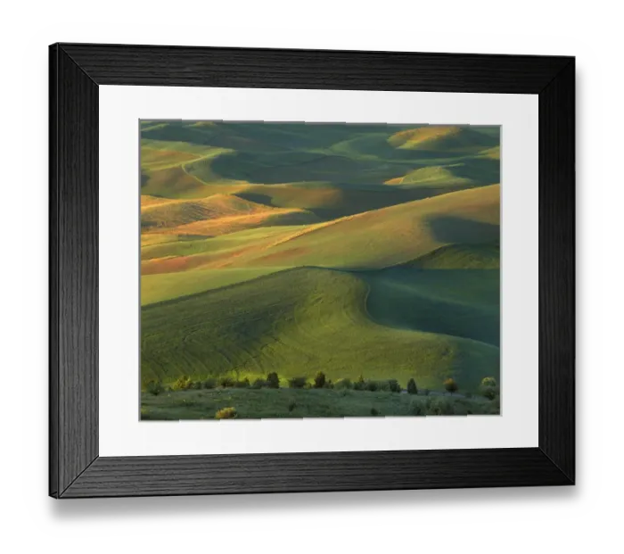 Framed Print : USA, Washington, Palouse, whitman County, Steptoe Butte Framed Print : USA, Washington, Palouse, whitman County, Steptoe Butte
