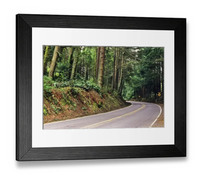 Framed Print : Forested Chuckanut Drive near Bellingham Washington Framed Print : Forested Chuckanut Drive near Bellingham Washington