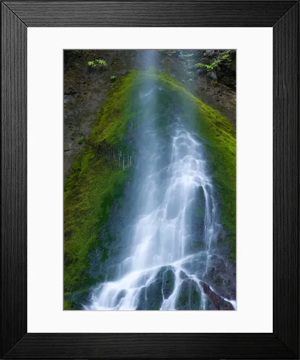 Framed Print : United States, Washington, Port Angeles, Olympic National Park, Portion of Marymere