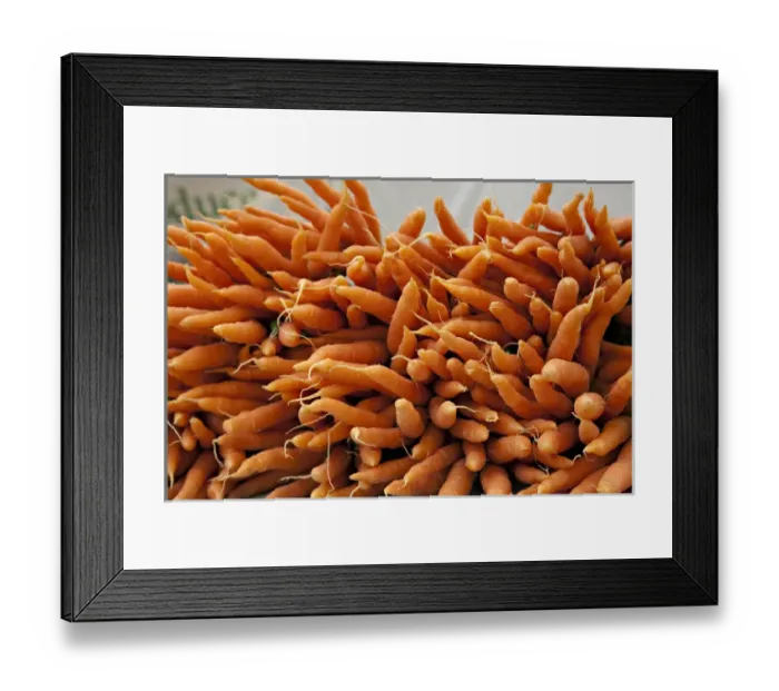 Framed Print : Washington, Seattle, Ballard Market. Carrots for sale at the market Framed Print : Washington, Seattle, Ballard Market. Carrots for sale at the market