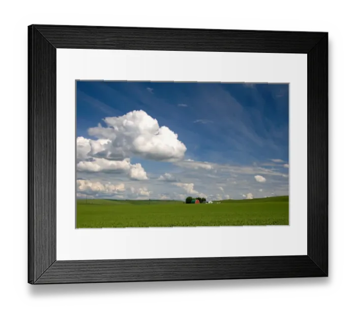 Framed Print : Eastern washington pea farm with rolling hills and clouds Framed Print : Eastern washington pea farm with rolling hills and clouds