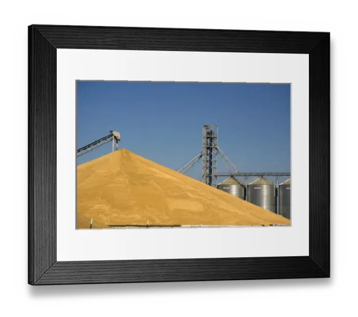 Framed Print : Large pile of harvested wheat and grain elevators at Pasco, Washington Framed Print : Large pile of harvested wheat and grain elevators at Pasco, Washington