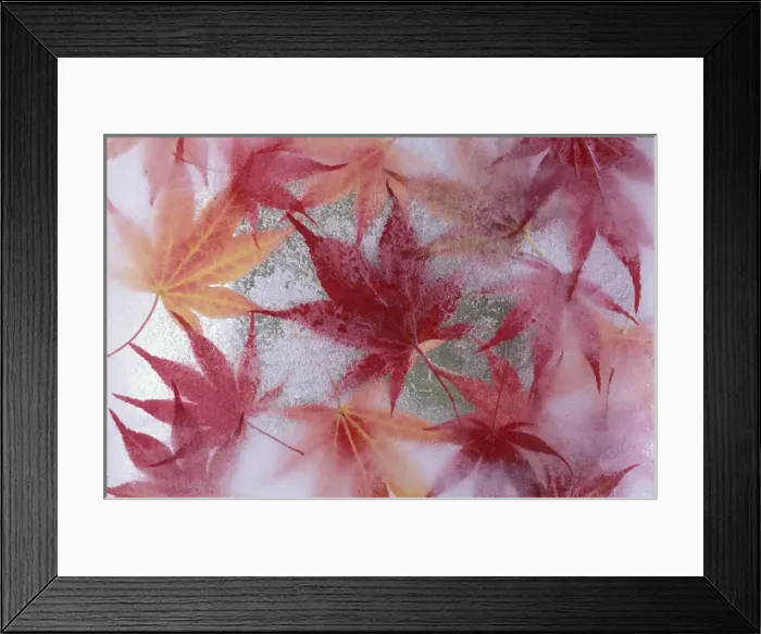 Framed Print : USA, WA Framed Print : USA, WA