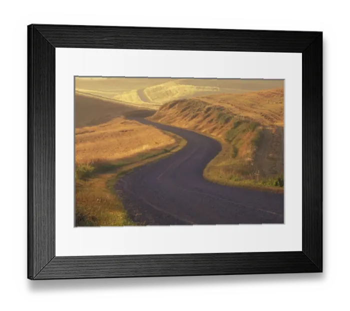 Framed Print : NA, USA, Washington, east of Colfax Gravel road through wheat and pea fields Framed Print : NA, USA, Washington, east of Colfax Gravel road through wheat and pea fields