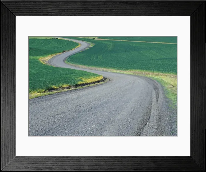 Framed Print : NA, USA, Washington, Eastern Washington Curved roadway in wheat field Framed Print : NA, USA, Washington, Eastern Washington Curved roadway in wheat field