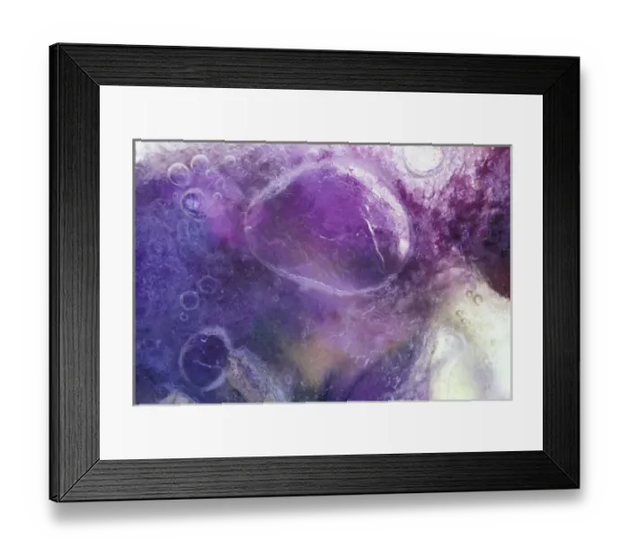 Framed Print : NA, USA, Washington, Issaquah Pansy pattern in ice Framed Print : NA, USA, Washington, Issaquah Pansy pattern in ice