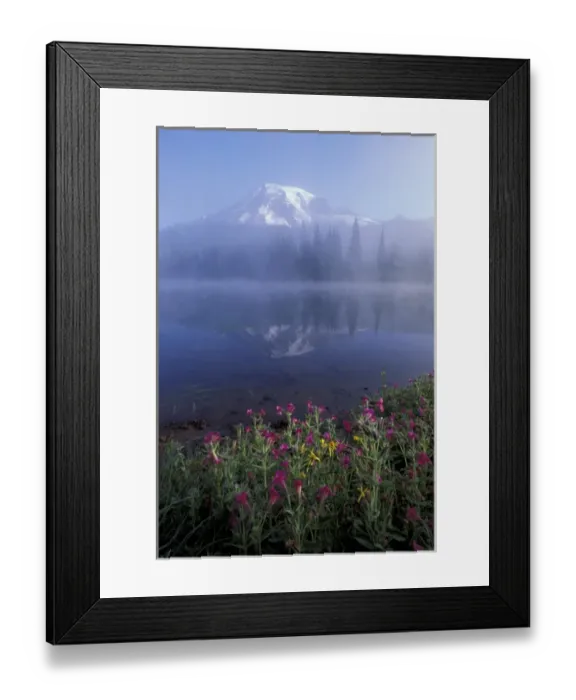 Framed Print : NA, USA, Washington, Mt. Rainier NP Pink monkey flowers and reflection of Mt