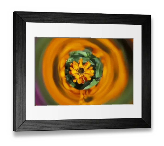 Framed Print : NA, USA, Washington, Sammamish Circle of color in mylar Framed Print : NA, USA, Washington, Sammamish Circle of color in mylar