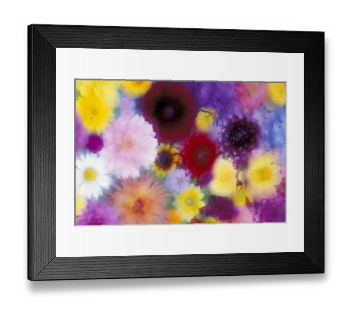 Framed Print : NA, USA, Washington, Sammamish In- and out-of-focus flower design Framed Print : NA, USA, Washington, Sammamish In- and out-of-focus flower design