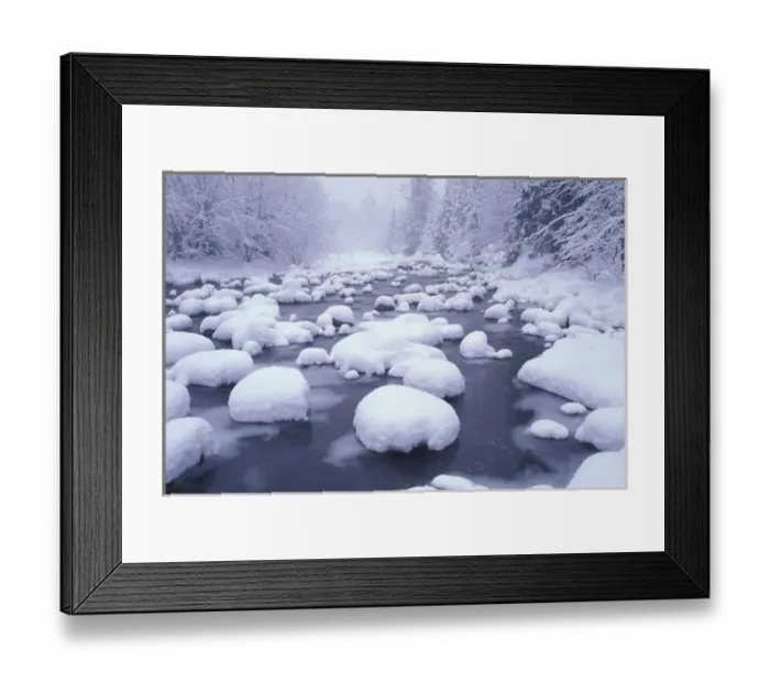 Framed Print : NA, USA, Washington, Washington Cascades Fresh snowfall on Denny Creek at Snowqualmie Framed Print : NA, USA, Washington, Washington Cascades Fresh snowfall on Denny Creek at Snowqualmie