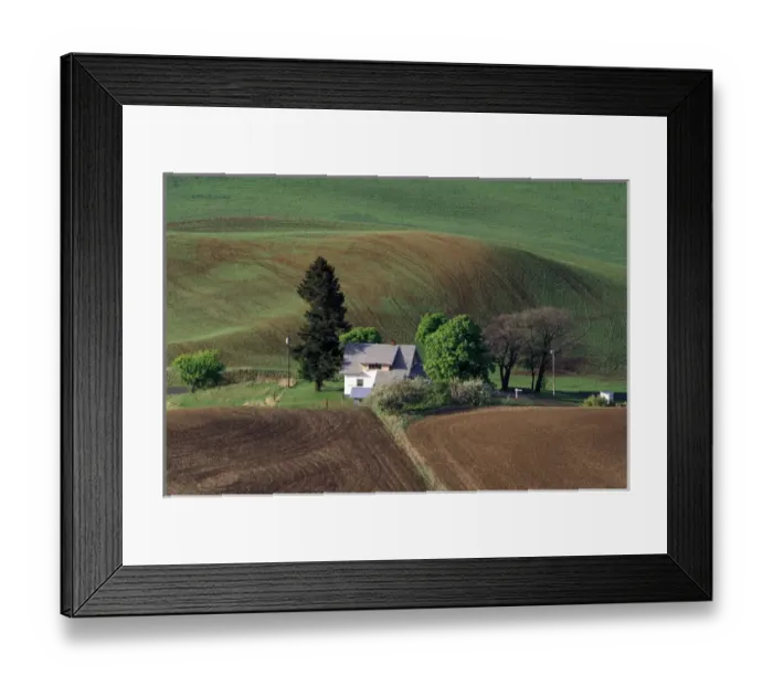 Framed Print : USA, WA, Steptoe Butte State Park Framed Print : USA, WA, Steptoe Butte State Park