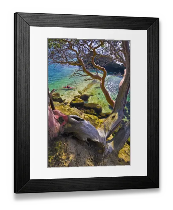 Framed Print : USA, Chuckanut Bay, Chuckanut Island, Puget Sound, Washington. Sea kayaker through