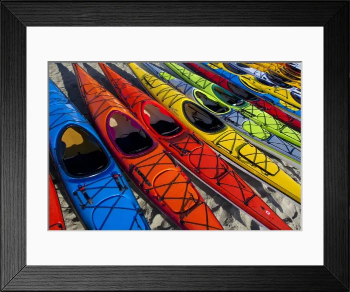 Framed Print : USA, Washington State. Array of kayaks at West Coast Sea Kayak Symposium, Port Townsend Framed Print : USA, Washington State. Array of kayaks at West Coast Sea Kayak Symposium, Port Townsend